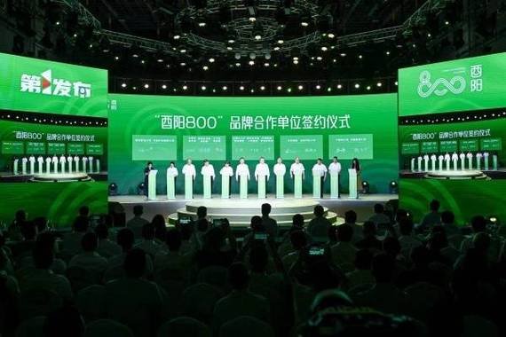 "酉阳800"产品发布会举行 现场购销签约6.03亿元